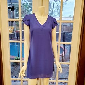 Japana Periwinkle Blue Dress